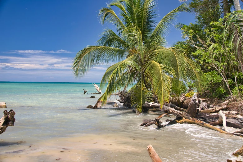 a very nice beach by some pretty water