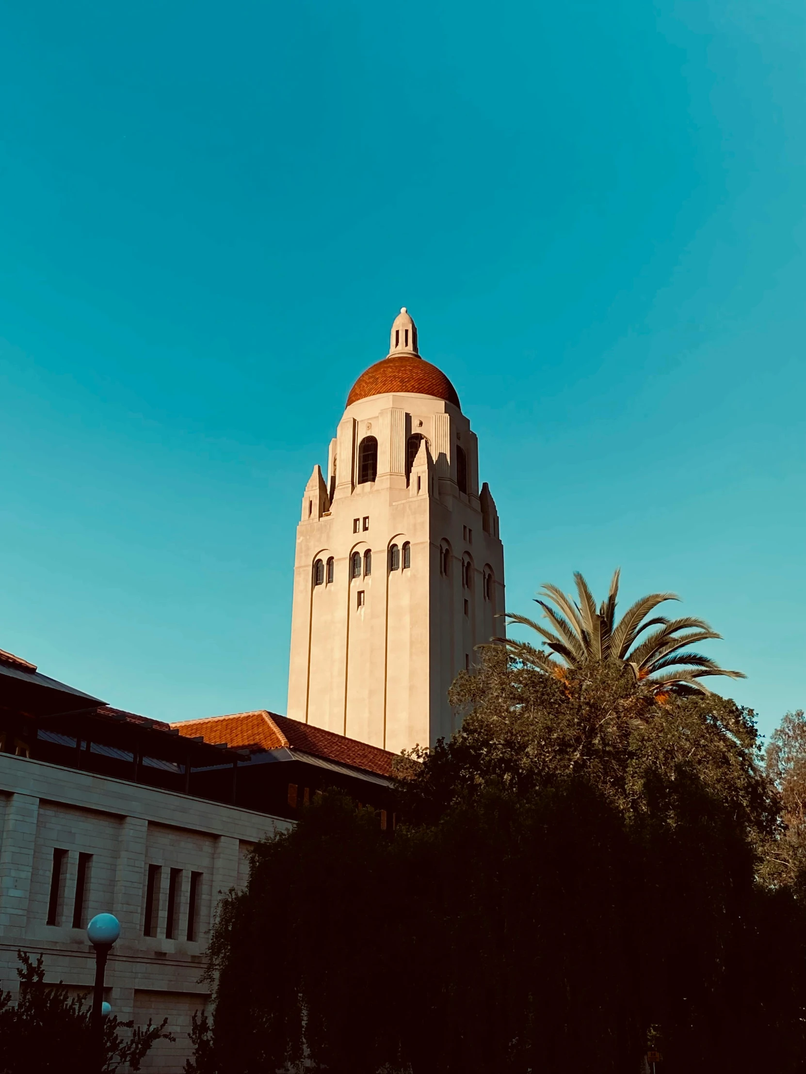 a tall white tower sitting above trees in a city