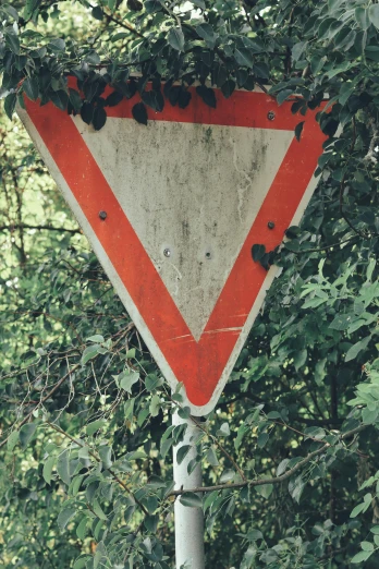 a road sign in the shape of a yield curve