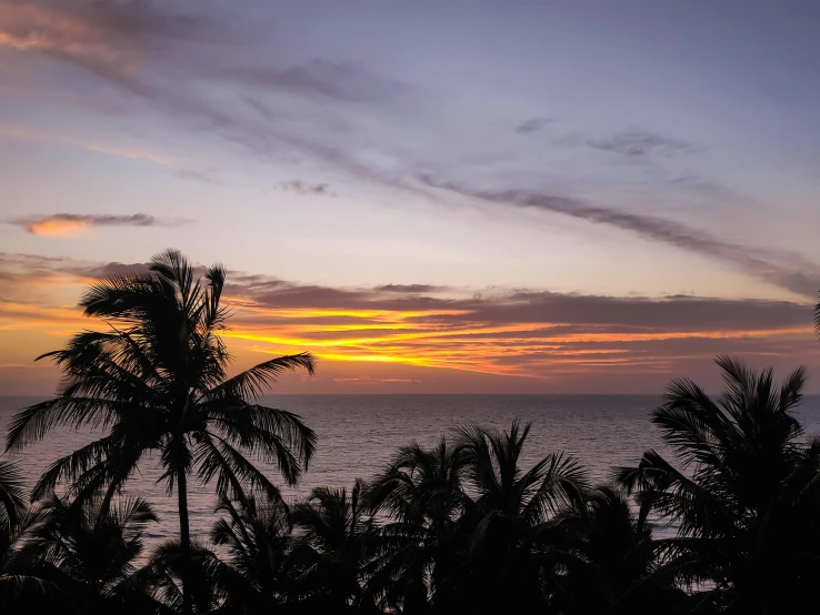 a view of the sky at sunset, with palm trees on the foreground