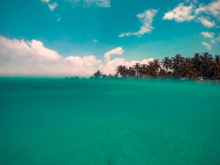 a long view over the ocean shows the sand and tropical vegetation