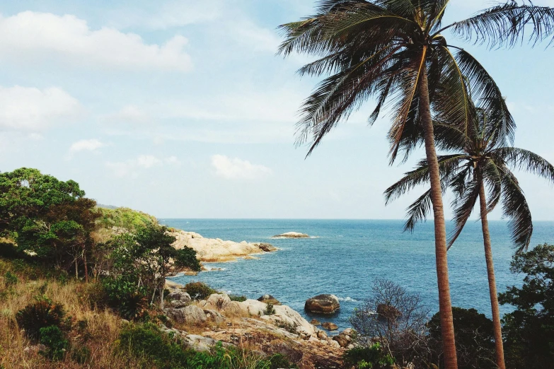 a boat sitting next to a lush green palm tree on a ocean shore