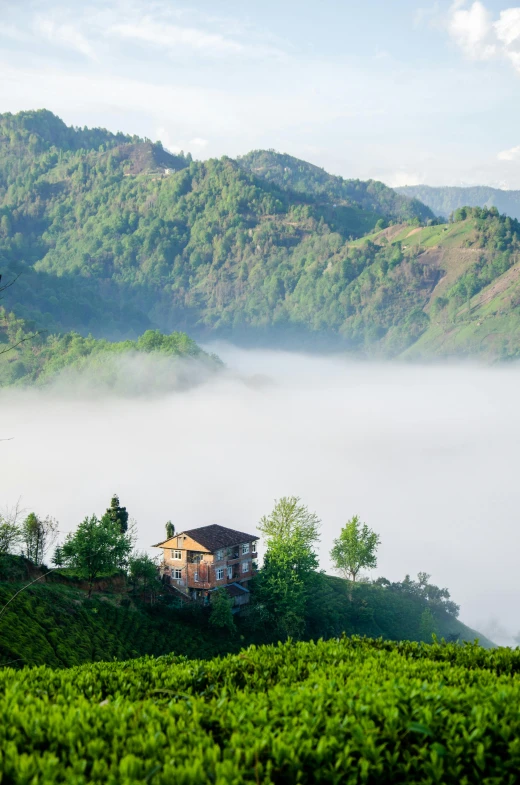 a house sitting on top of a lush green hillside