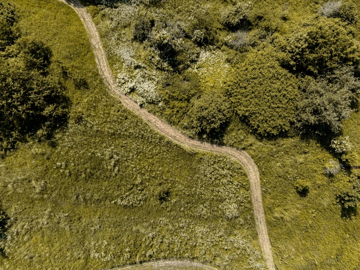 an aerial view of a road and grassy area