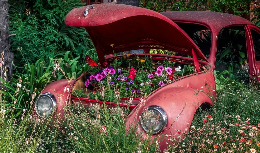 an old, rusted car sitting in some flowers