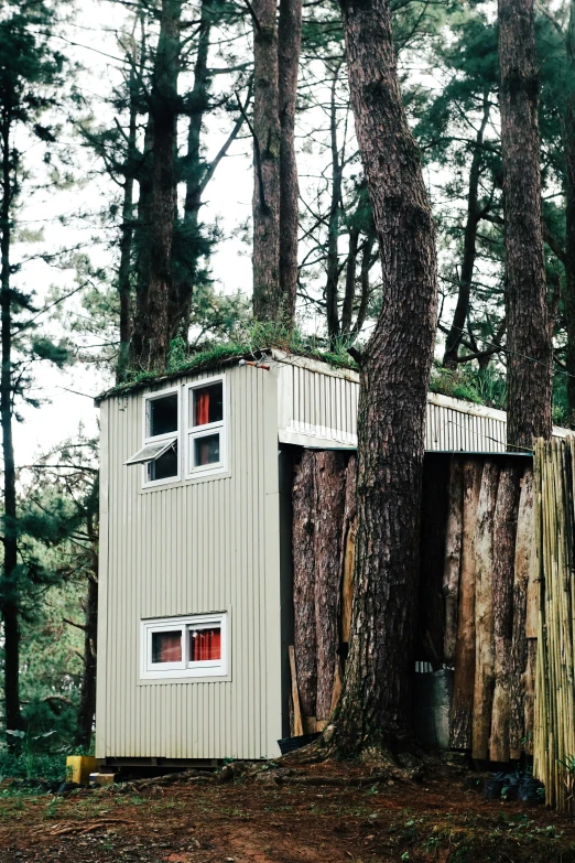 two shed like structures sitting in the woods