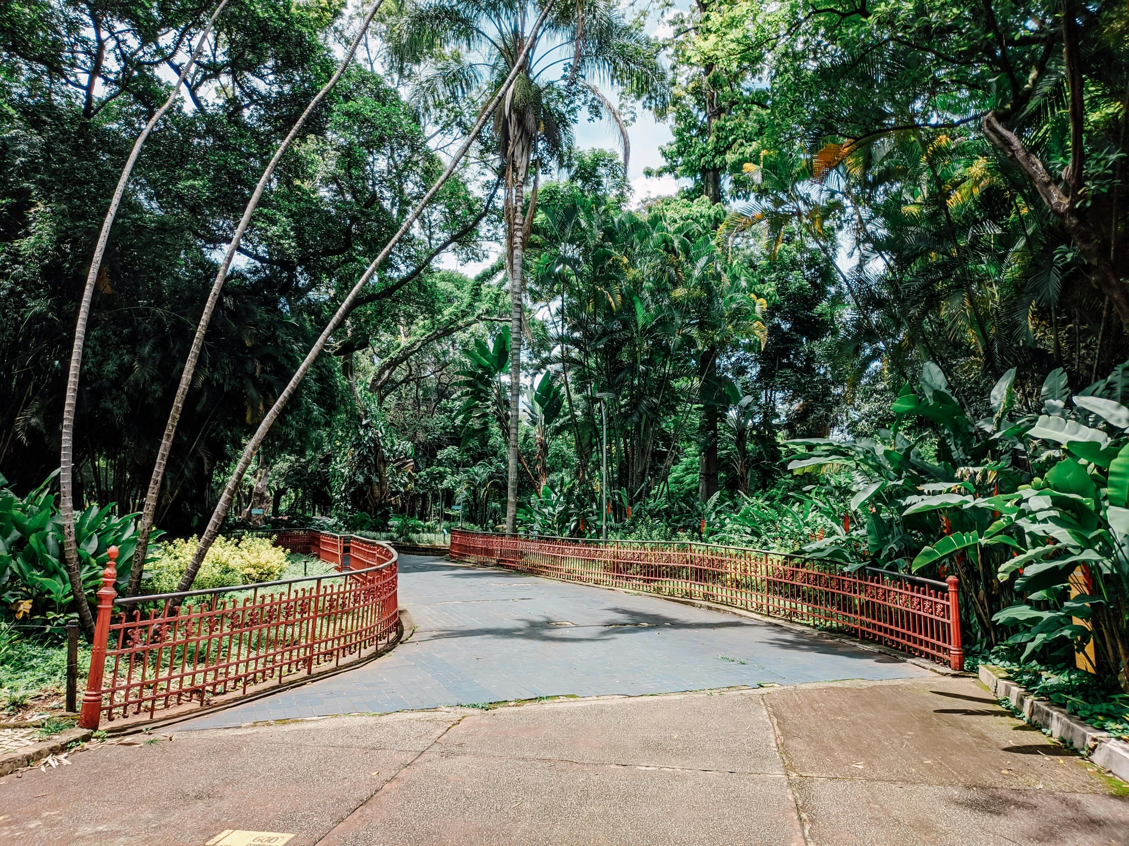 a wooden walkway through a lush green park