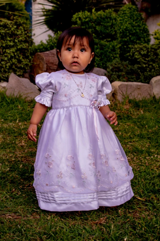 a young child standing on the grass wearing a purple dress