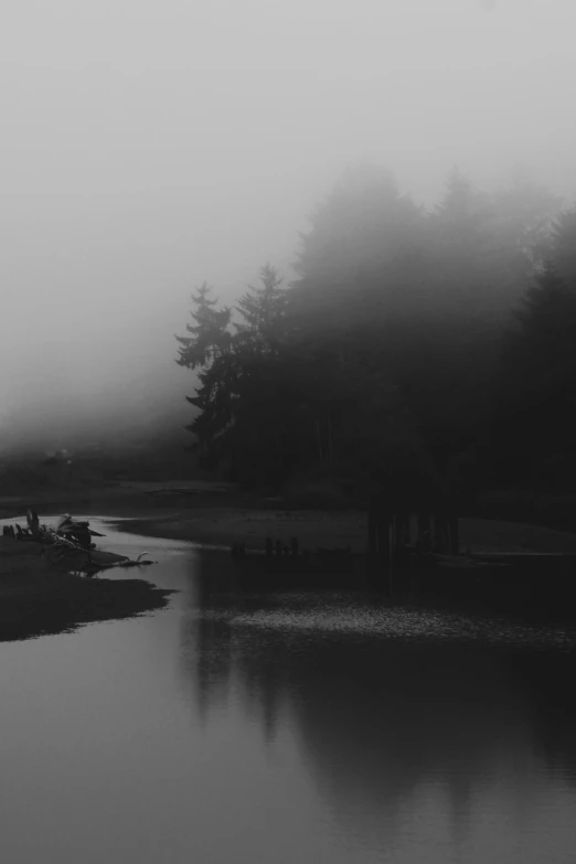 foggy view of a river and a bench