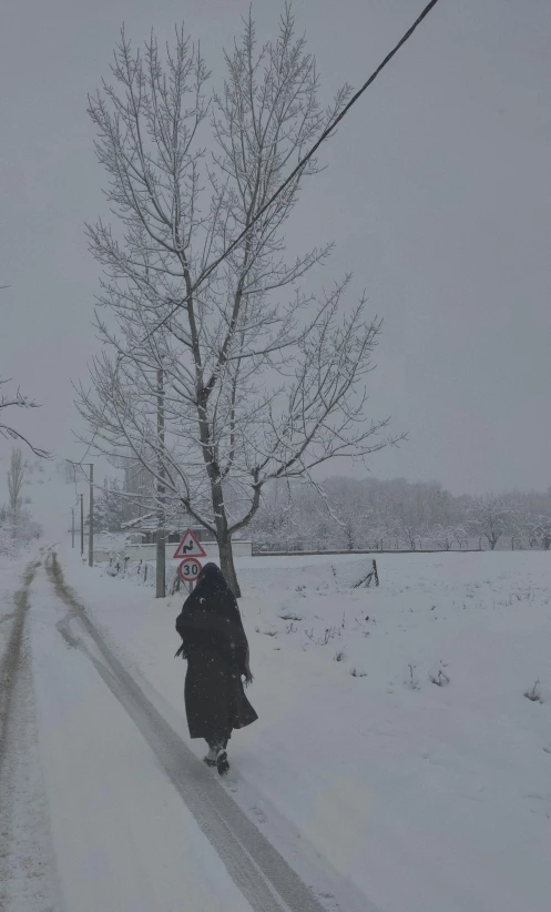 a woman is walking in the snow carrying an umbrella