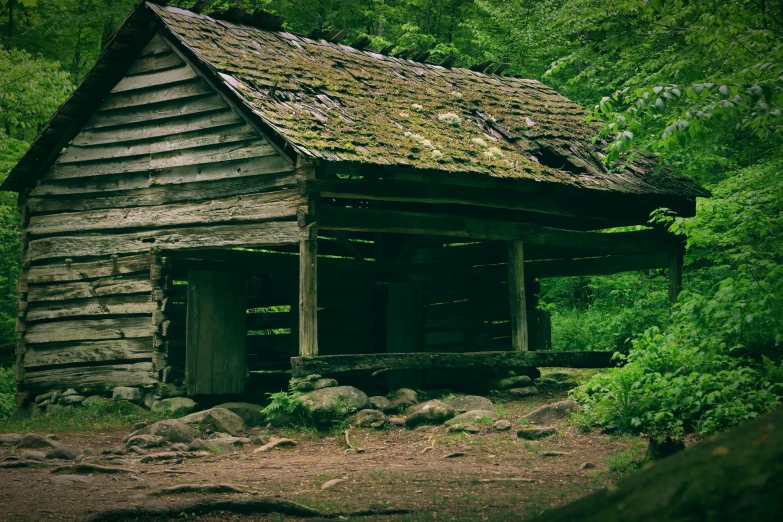 the small log cabin has green moss on the roof