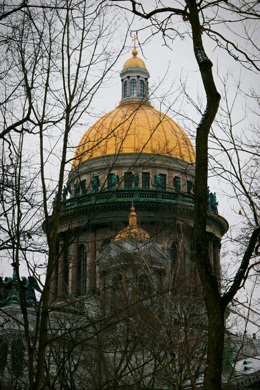 the dome on the building sits amongst bare trees