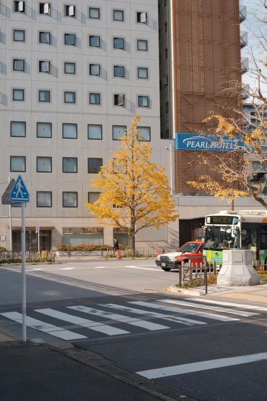 cars parked on the side of the road outside an office building