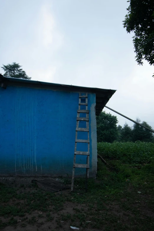 a blue house with a ladder to the roof