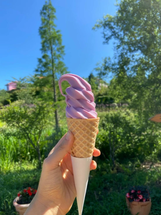 a hand holding an ice cream cone with pink icing