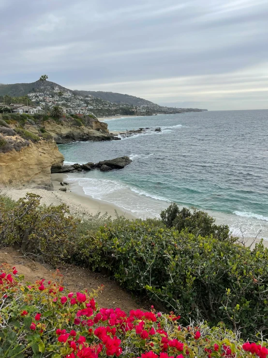 a beach with water and trees near some hills