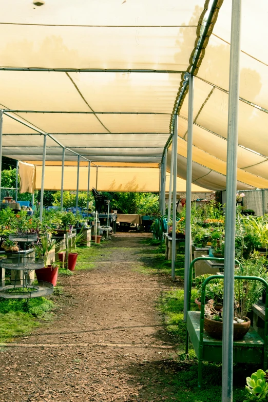 an outside greenhouse with pots of plants inside of it