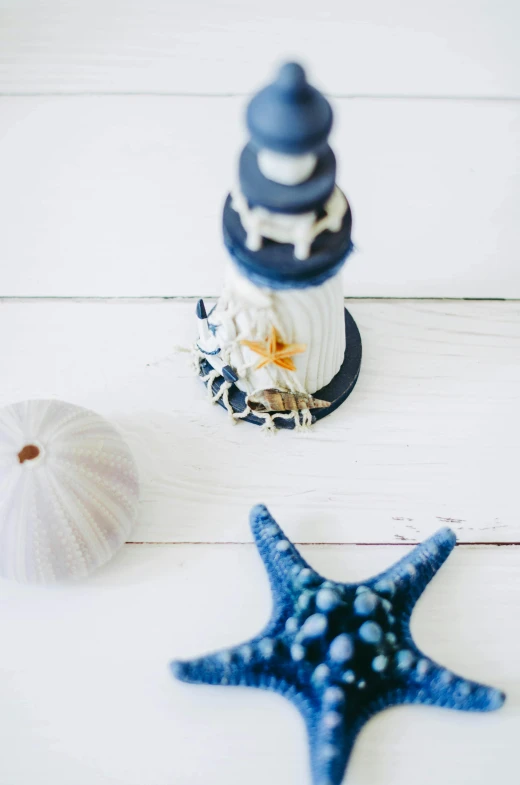 blue seashell, blue starfish and white ocean shells