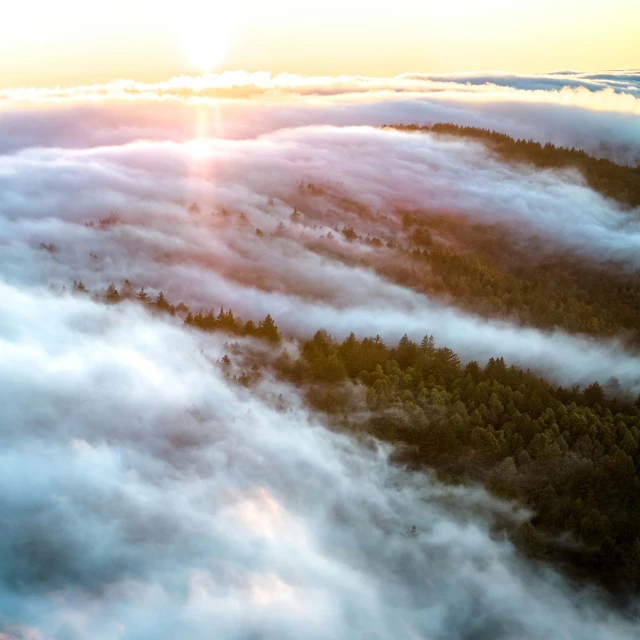 the sun is rising above the clouds and trees