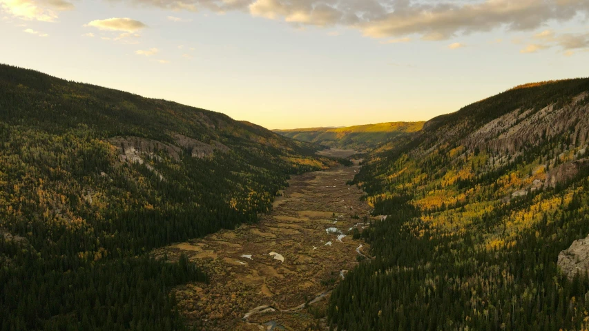 a valley is shown in the distance and is surrounded by trees