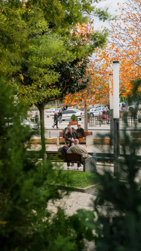 a few people sitting on a bench next to trees