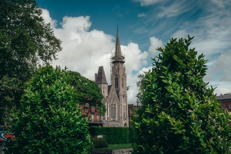 the cathedral from the garden is surrounded by lush trees