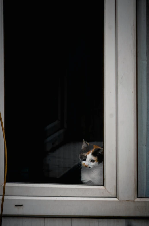 a cat sitting outside an open window staring at soing