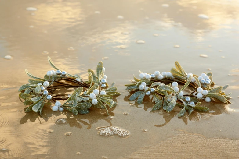 blue and white flowery buds on sand near water