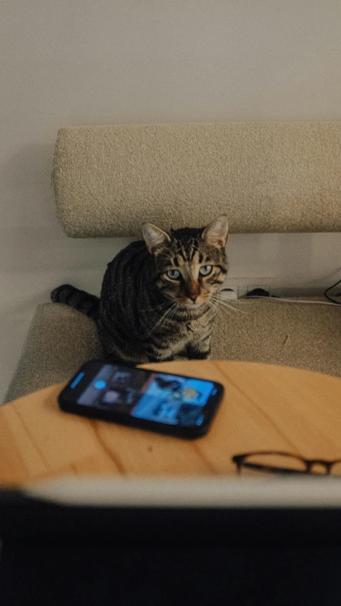 a cat sitting next to a smart phone on a table