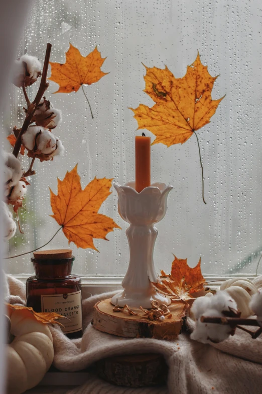 leaves and other objects that are on a table by a window