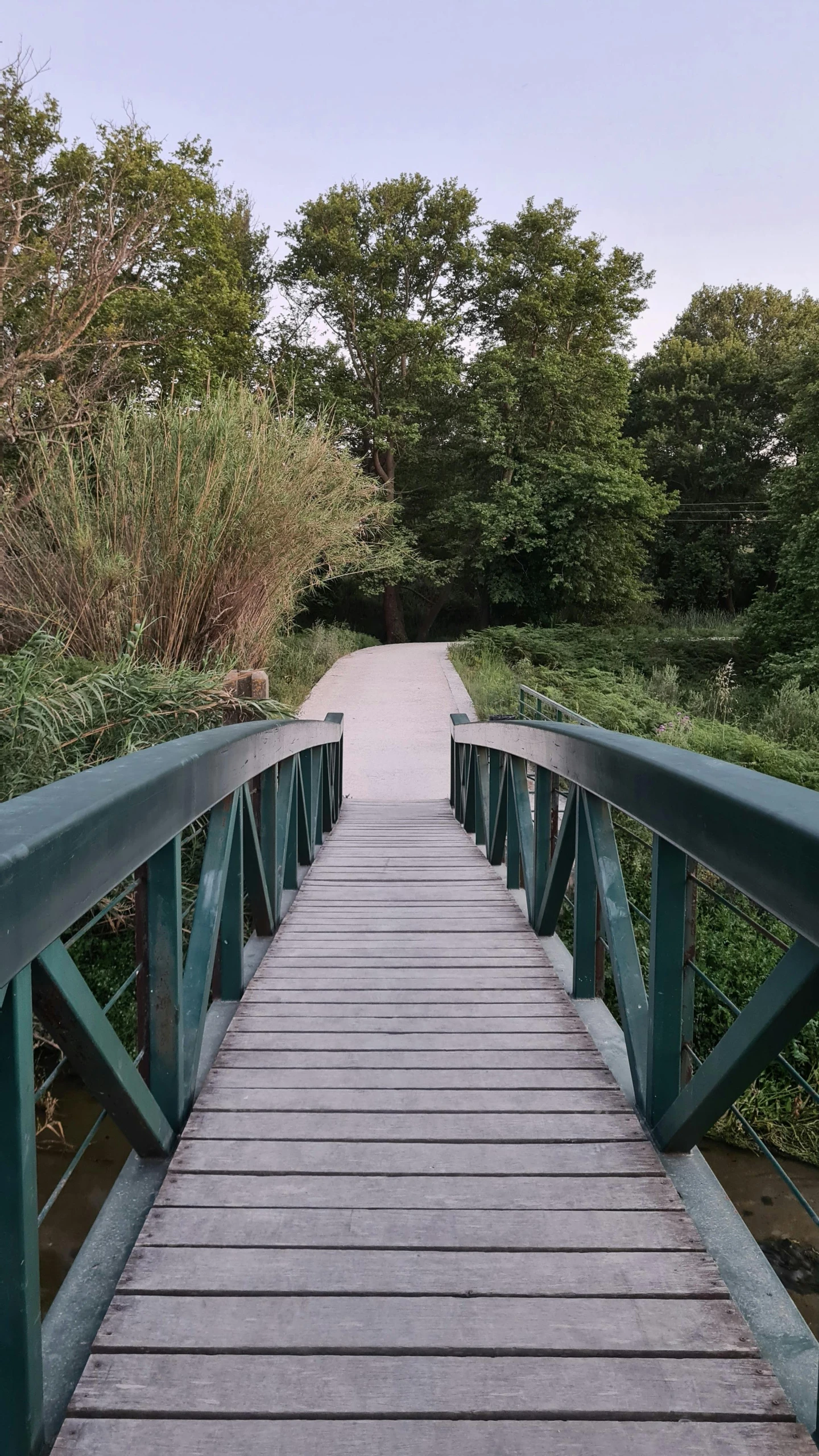 a walkway that is painted green next to a forest