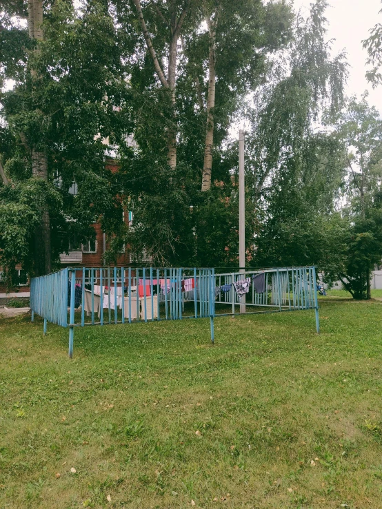 lots of toilets are sitting on grass in the park