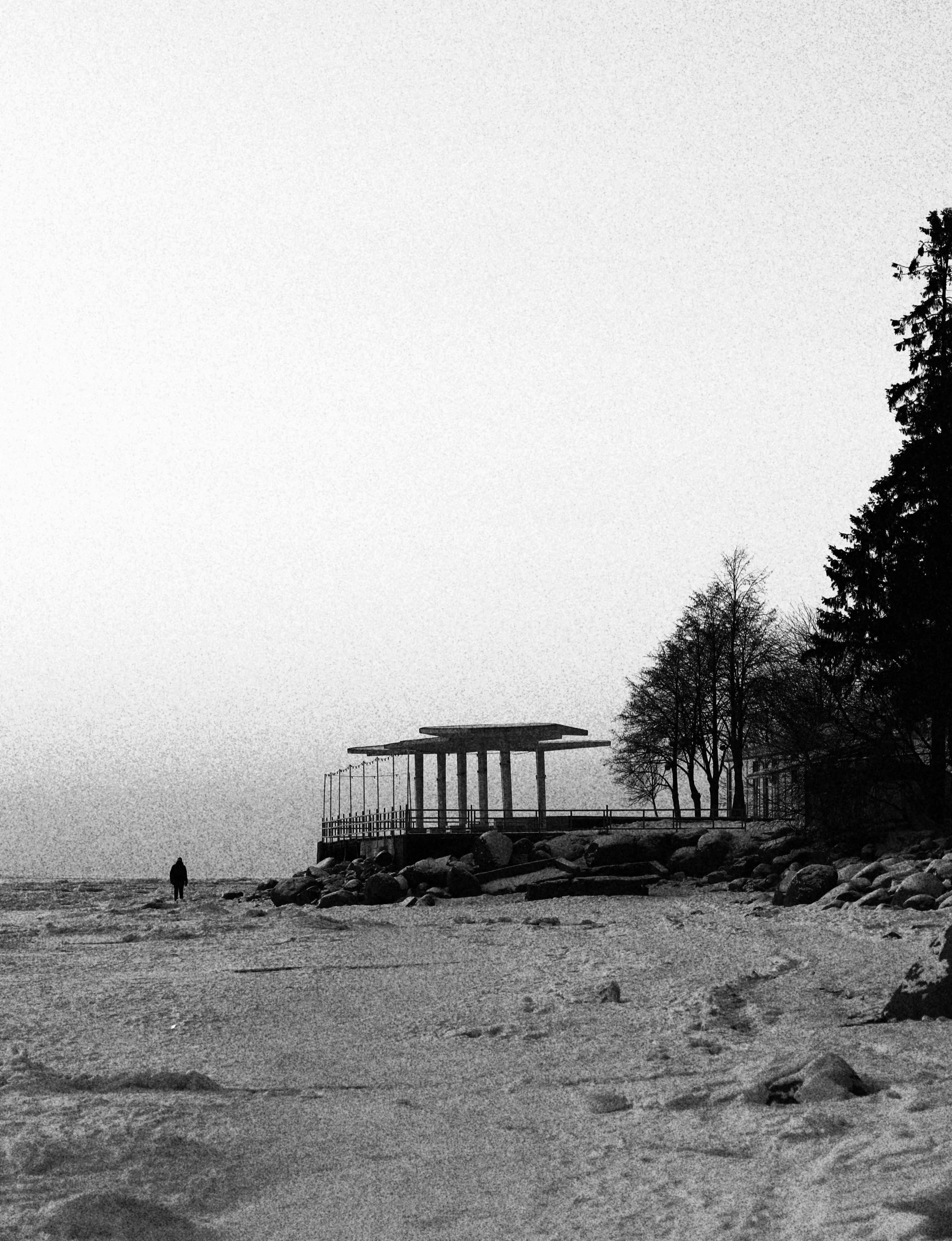 the tree line is near an island that has three small huts on it