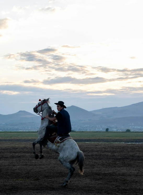 a person riding on the back of a white horse