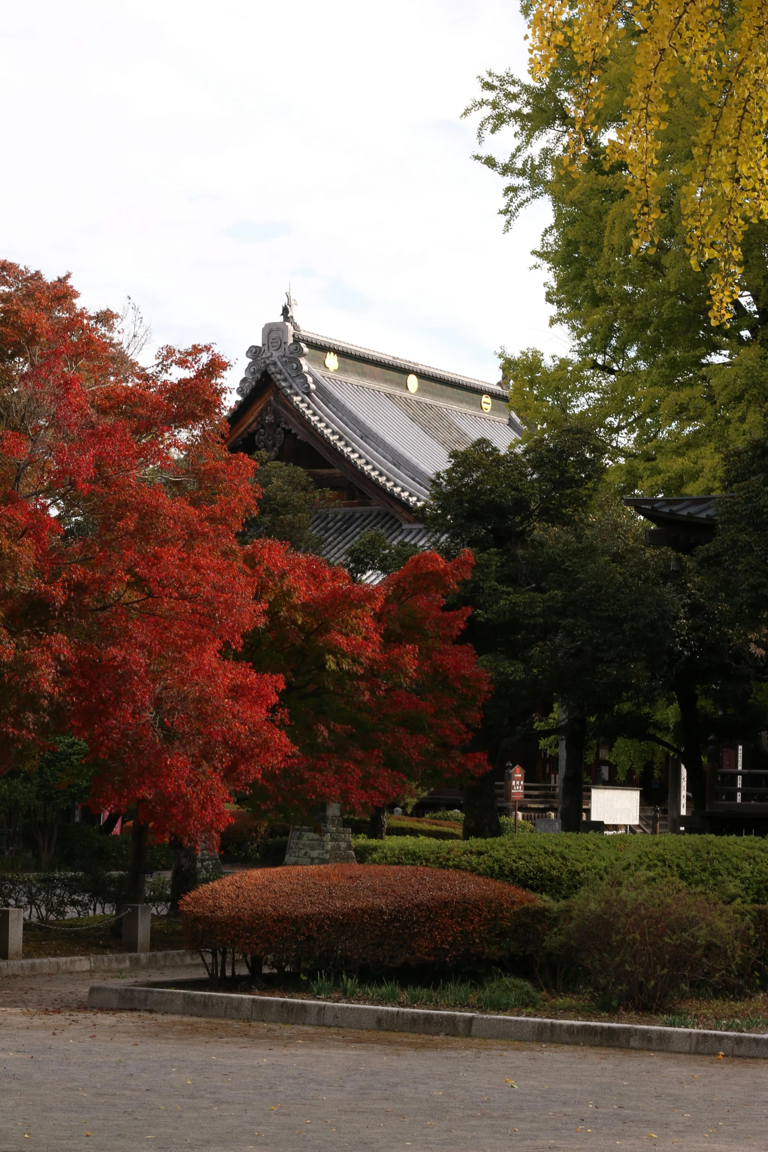 the beautiful autumn colors decorate this building in autumn