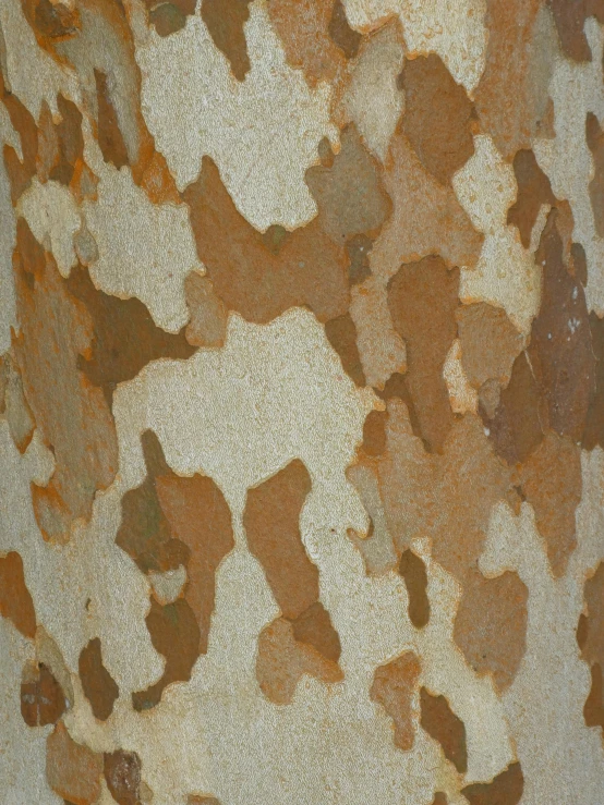 a camouflage pattern with some rusted spots in it