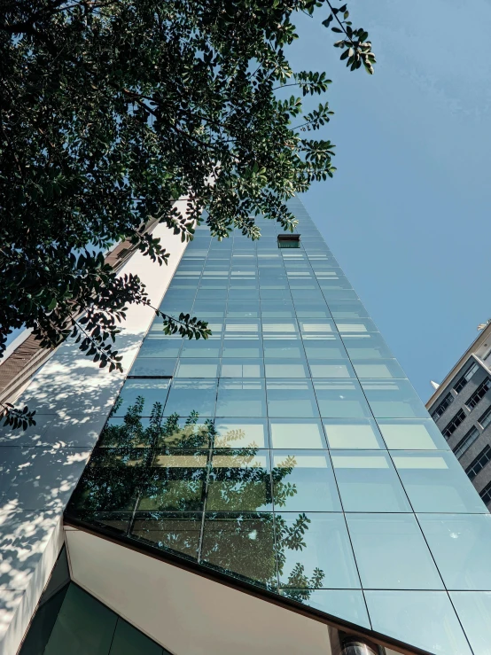 looking up at a glass tower from the outside