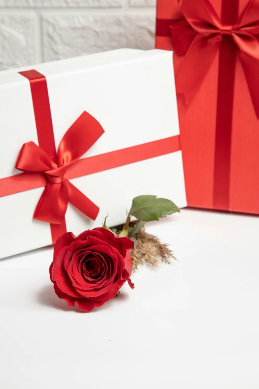 a large red rose is next to a white box