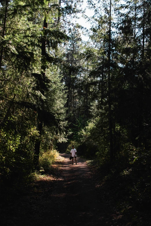 there is a man and a dog walking down the woods