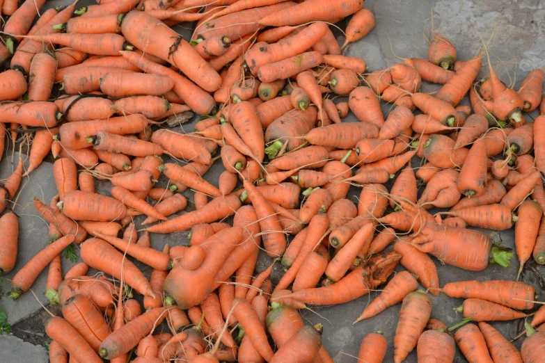 a pile of very bright, baby carrots