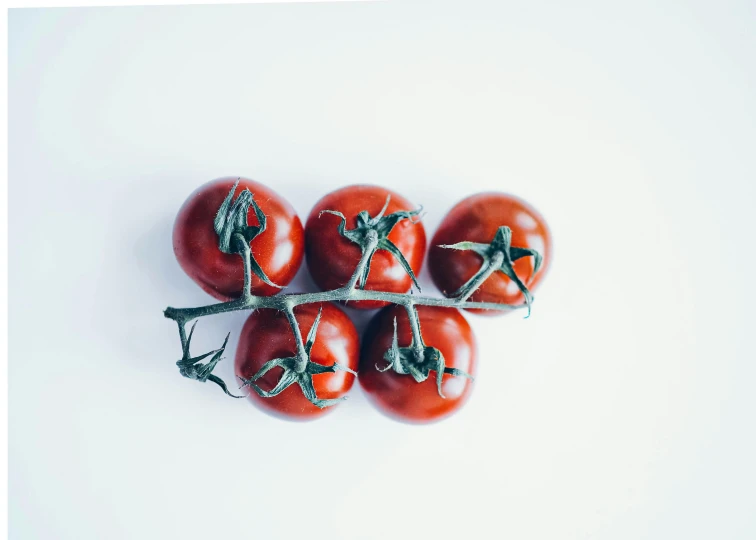 a number of tomatoes on a stem on a white surface