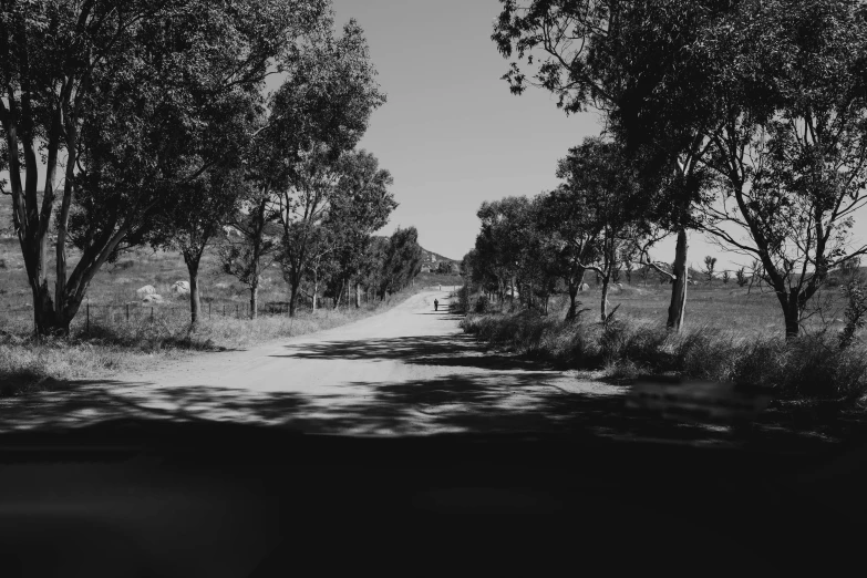 a path that is surrounded by trees and bushes