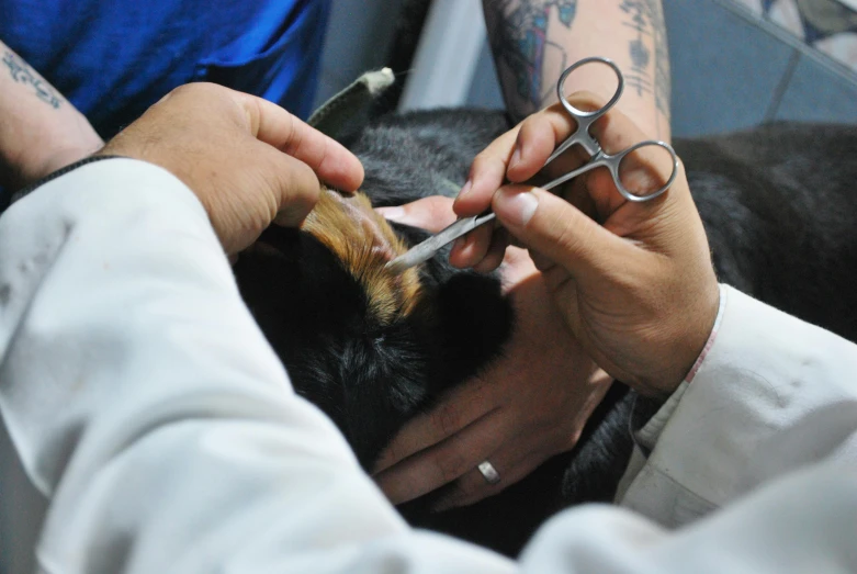 a man  off another person's hair with scissors