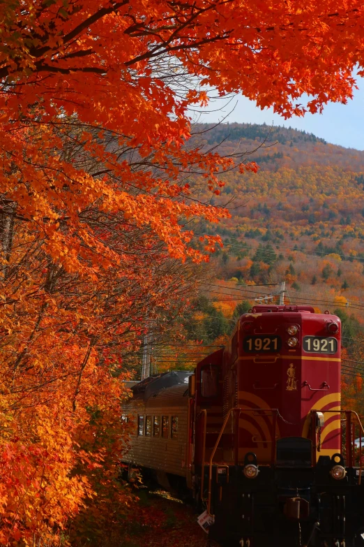 a train driving down the track under autumn trees