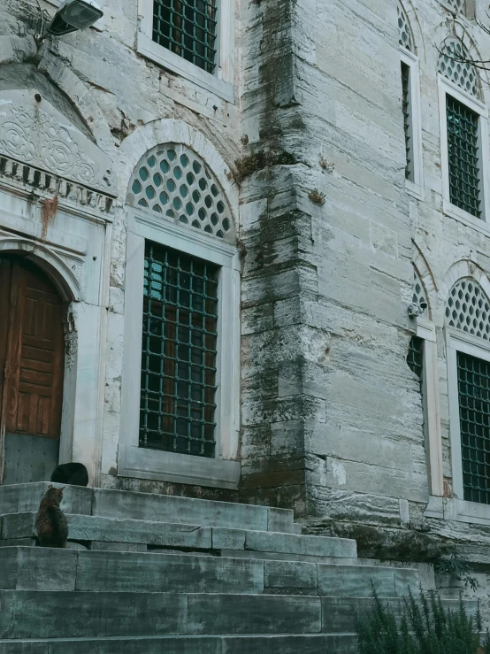 a cat sits on some steps outside an old building