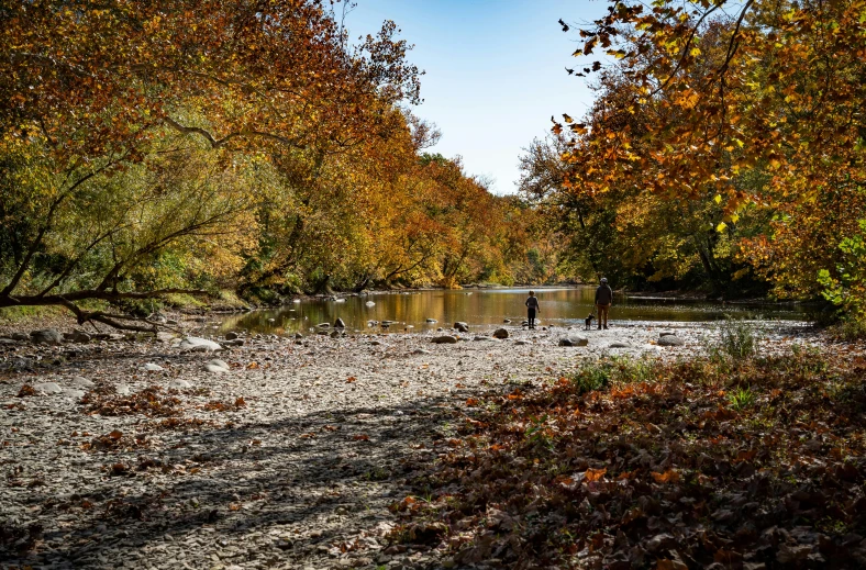 a po of trees and people at the water's edge