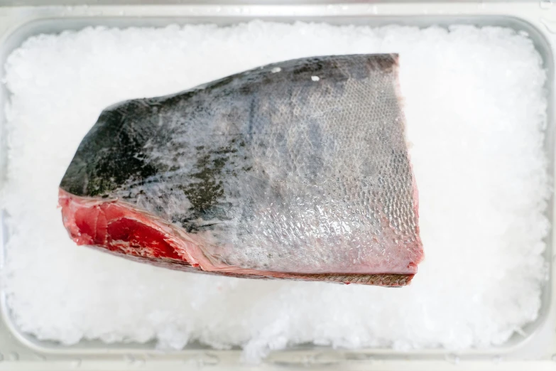 some sort of fresh fish laying on a pile of ice