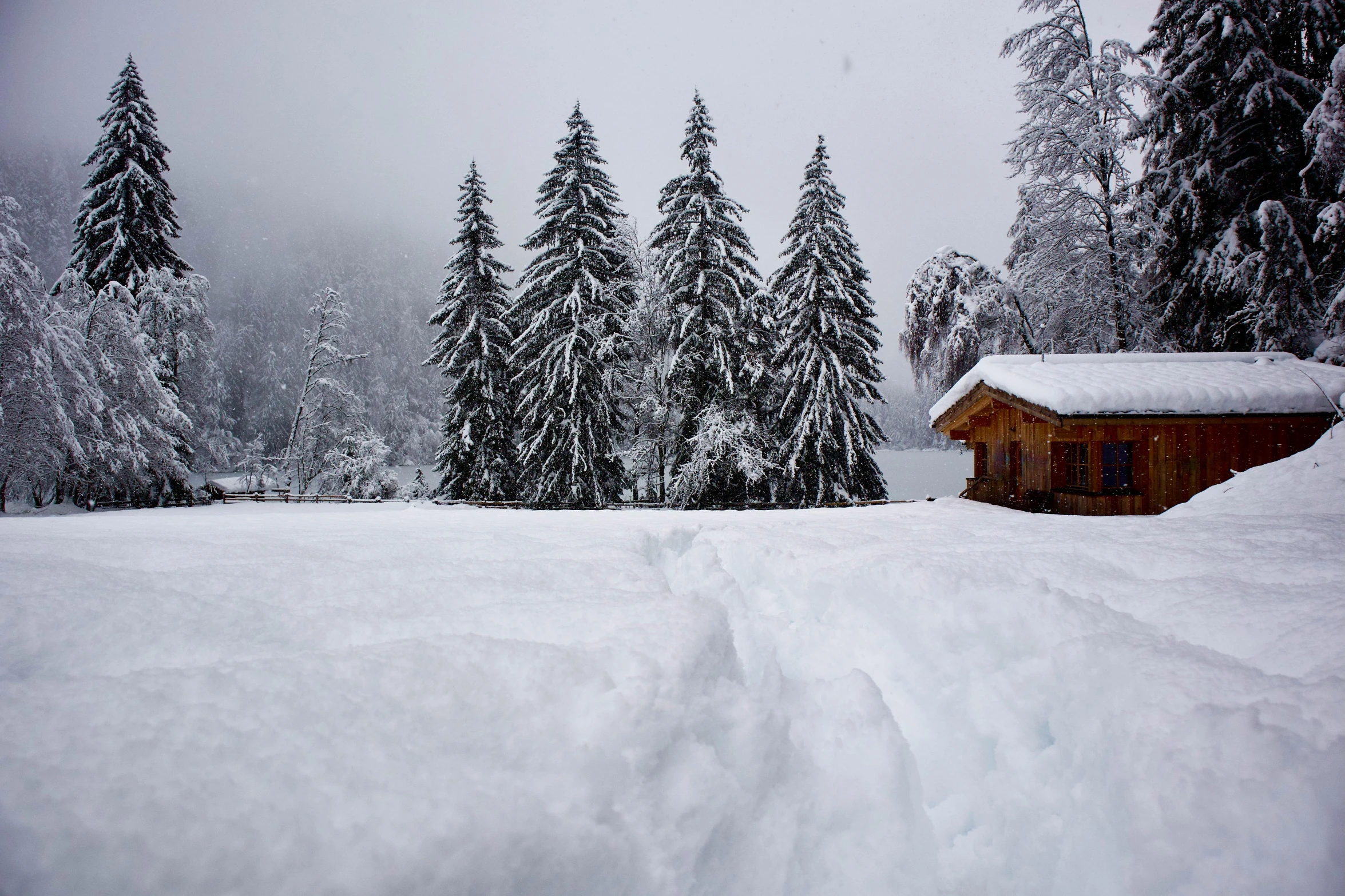 a couple houses that are out in the snow