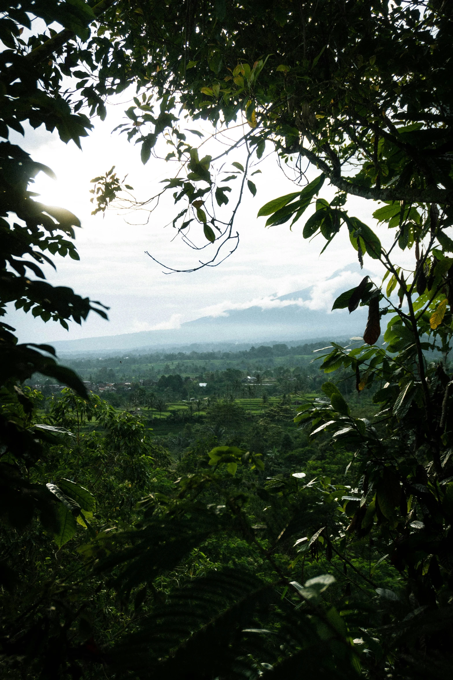 view from a very high point over the landscape