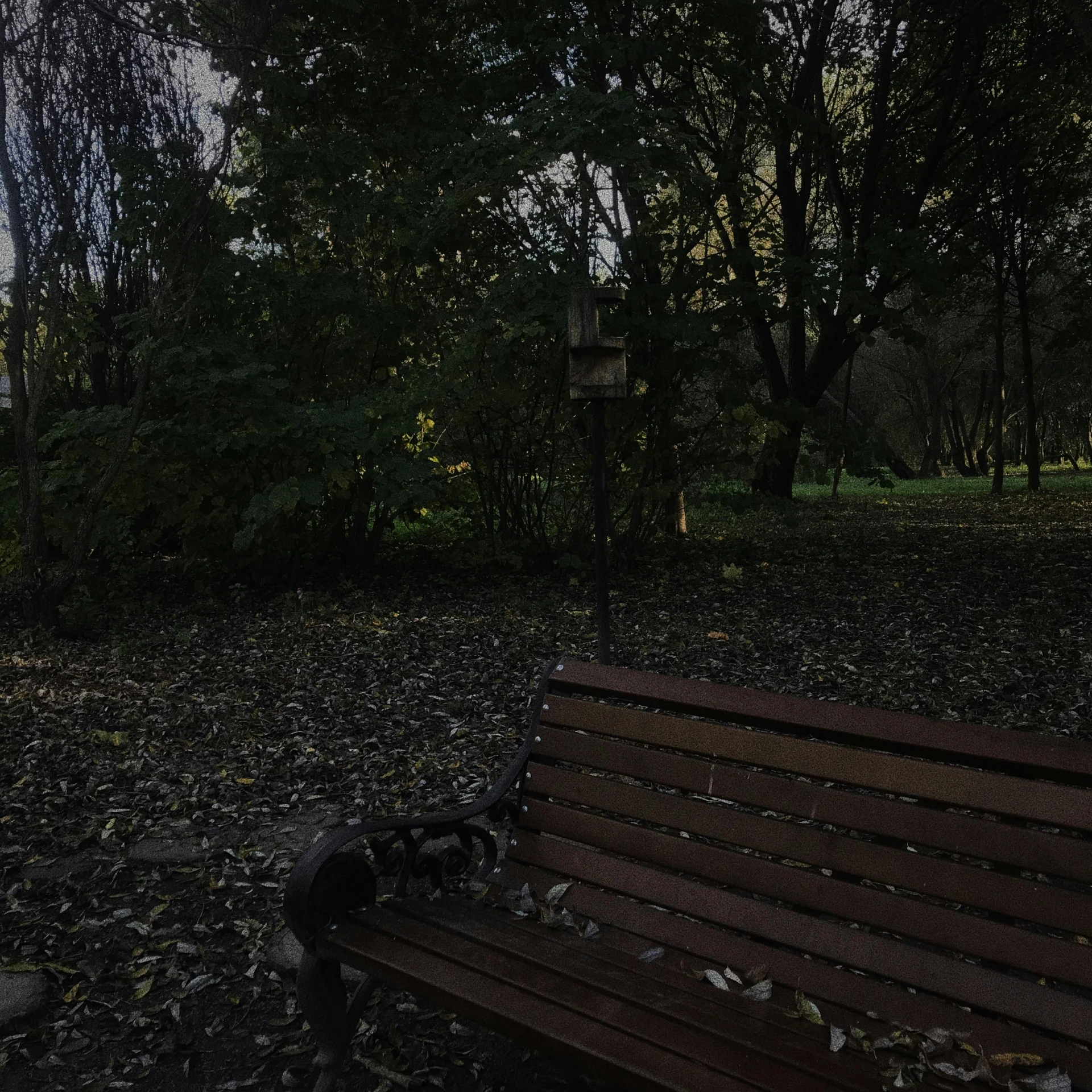 a bench is sitting in the middle of a park